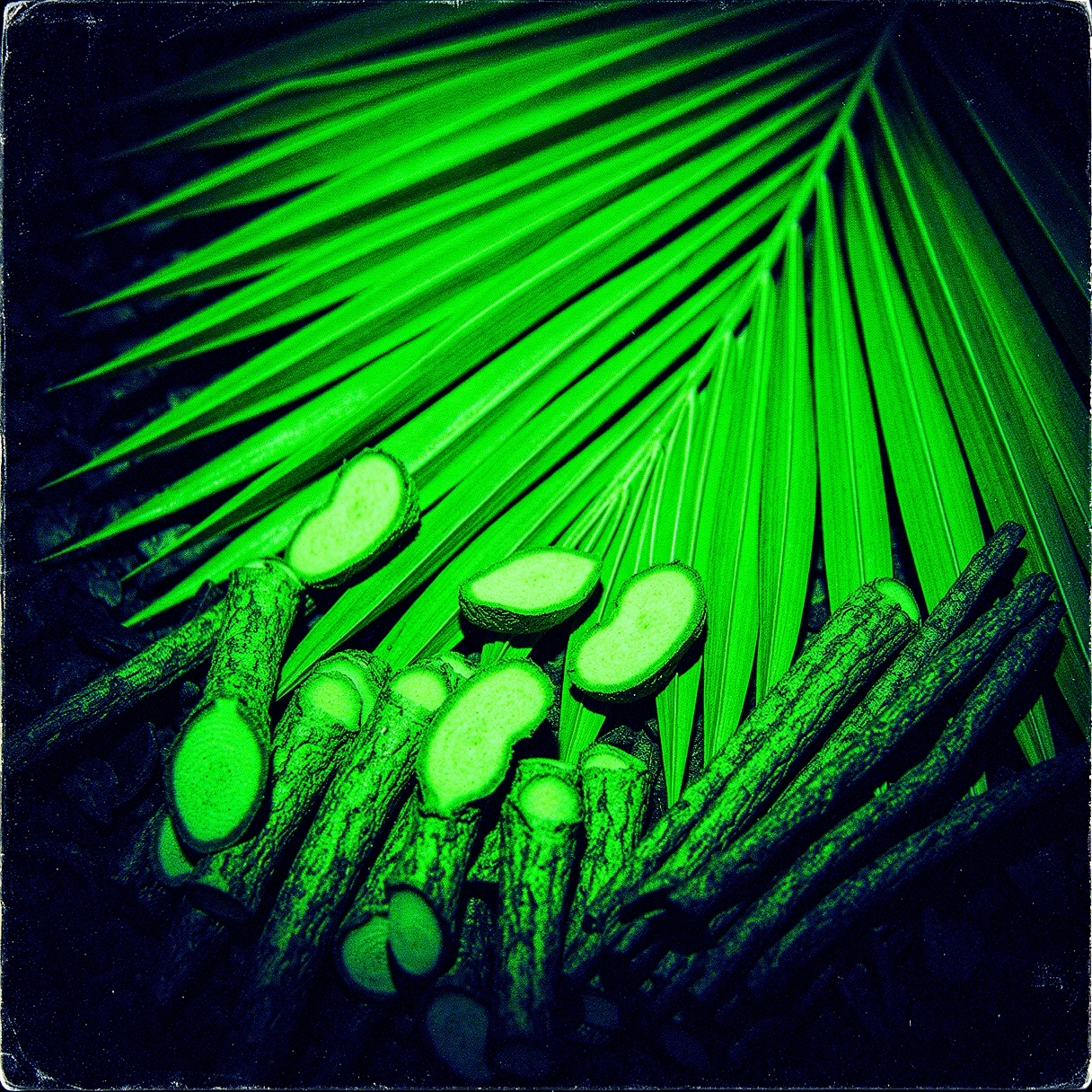 Eksplorasi Botani Kontrol Kesehatan